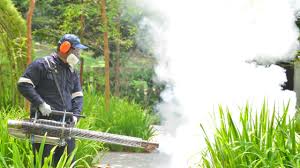 Best Fumigation Services  in North Branch, MI